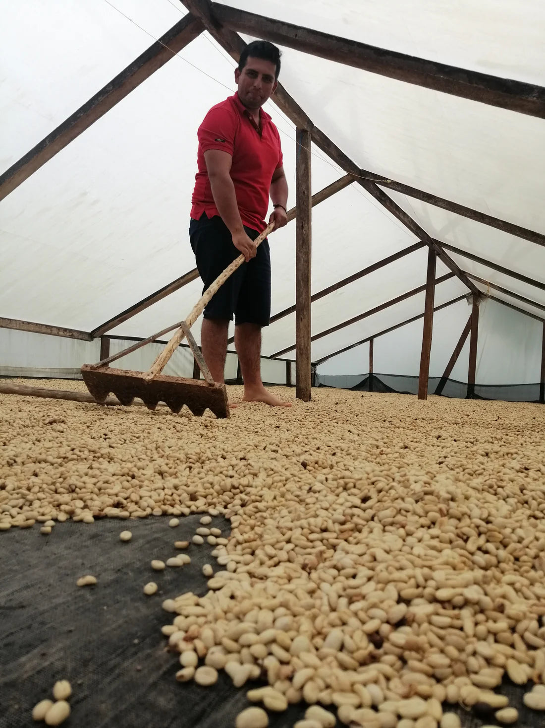 The Decaf Project: A Brio x James Hoffmann Tasting Kit