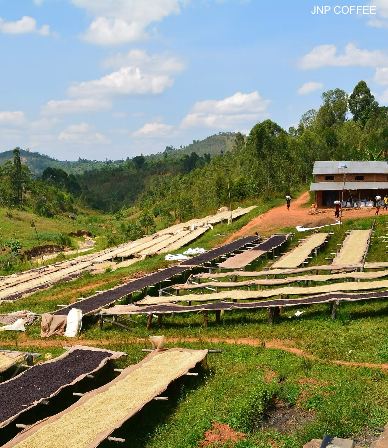 Burundi Incuti - 12 oz.