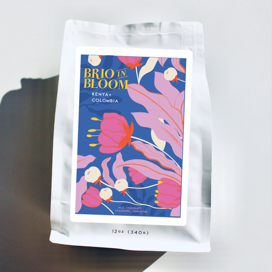 Brio in Bloom Blend