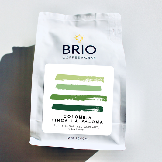Colombia Finca La Paloma