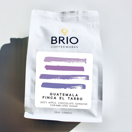 Guatemala Finca El Tarro