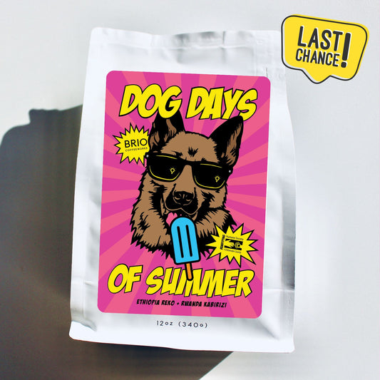 Dog Days of Summer Blend - 12 oz.