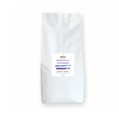 Ethiopia Konga