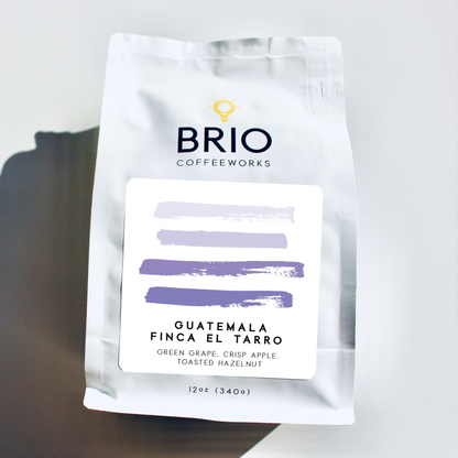 Guatemala Finca El Tarro