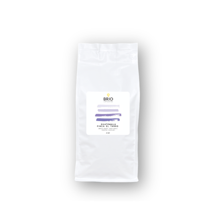 Guatemala Finca El Tarro