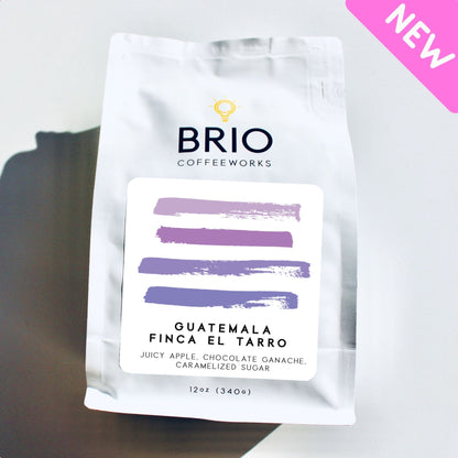 Guatemala Finca El Tarro- 12 oz.