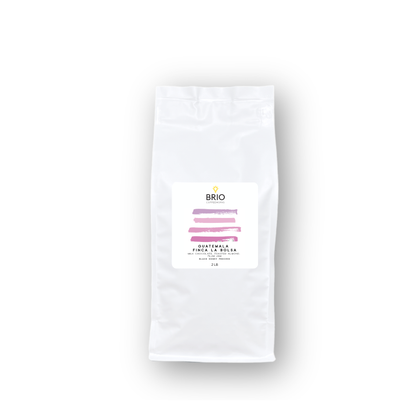 Guatemala Finca La Bolsa