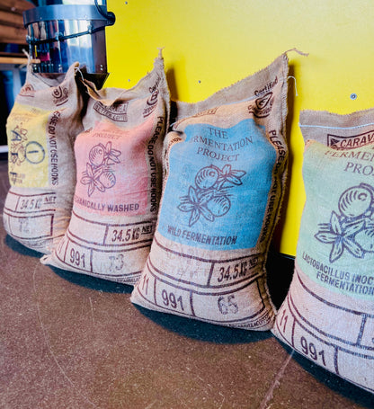The Fermentation Project Box Set