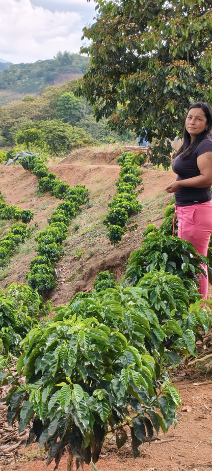 Best of Cauca 2025 - Ana Milena Morera Otero - 12 oz.