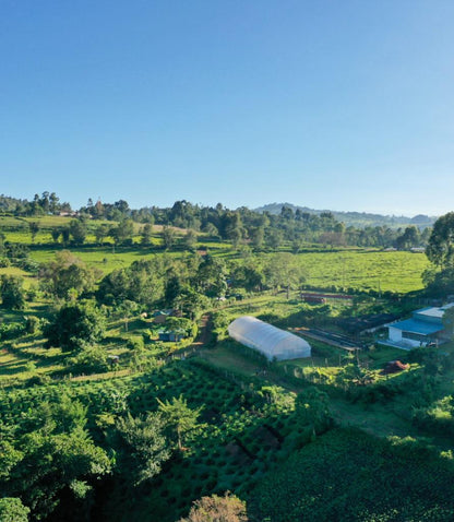 Kenya Muinami Estate