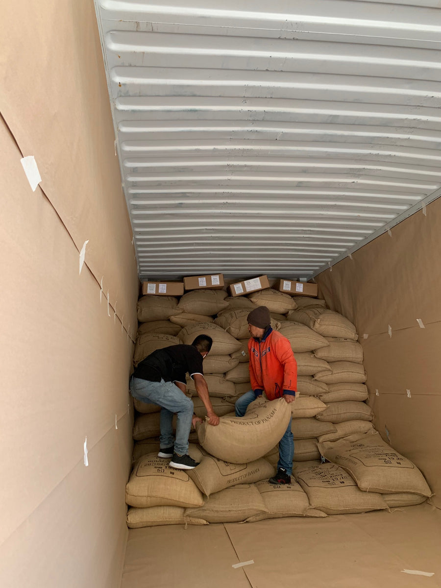 Panama Boquete - 12 oz.