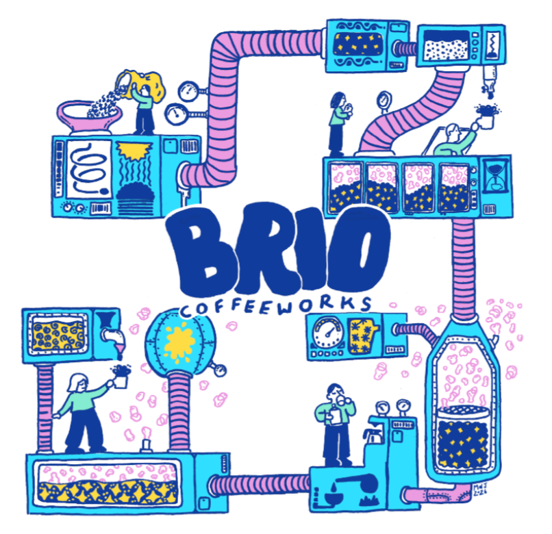 Brio x Fermentation Project Crewneck