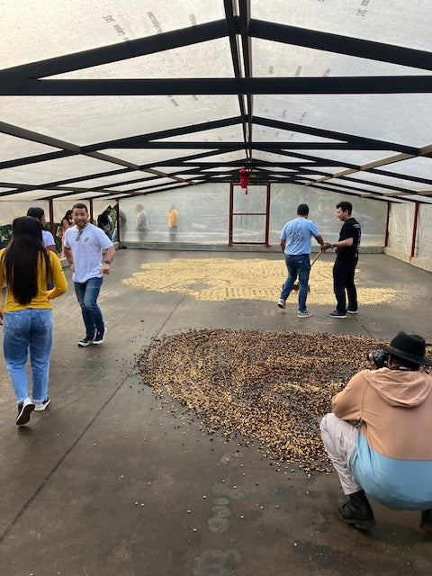 Best of Cauca 2025 - Ana Milena Morera Otero - 12 oz.