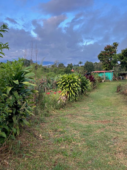 Best of Cauca 2025 - Ana Milena Morera Otero - 12 oz.