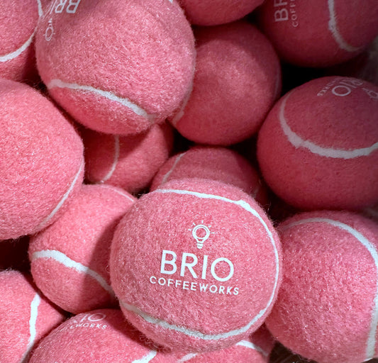 Brio Dog Tennis Ball