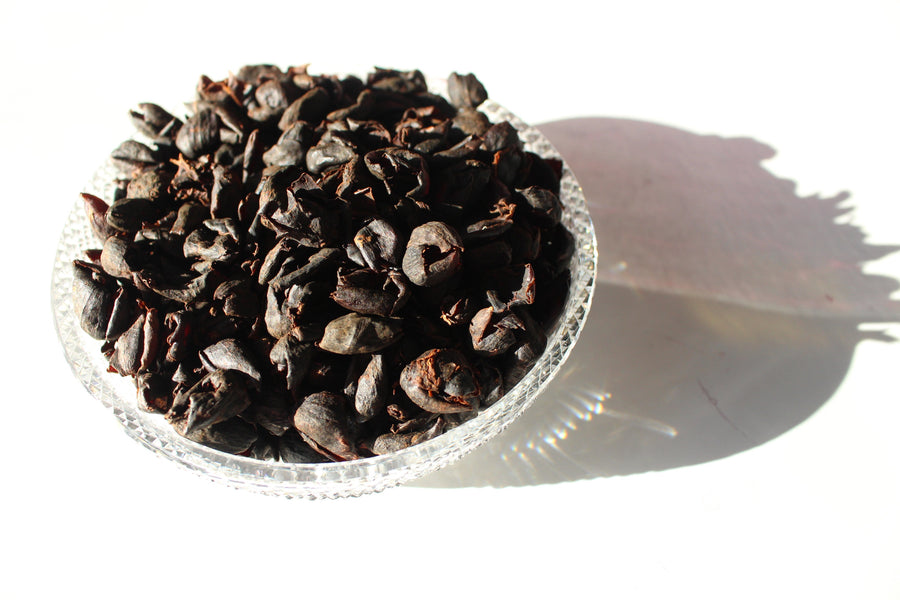 Cascara - El Salvador Finca Buenos Aires - 4oz